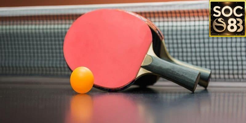 Tại sao nên chọn cá cược bóng bàn Soc88
